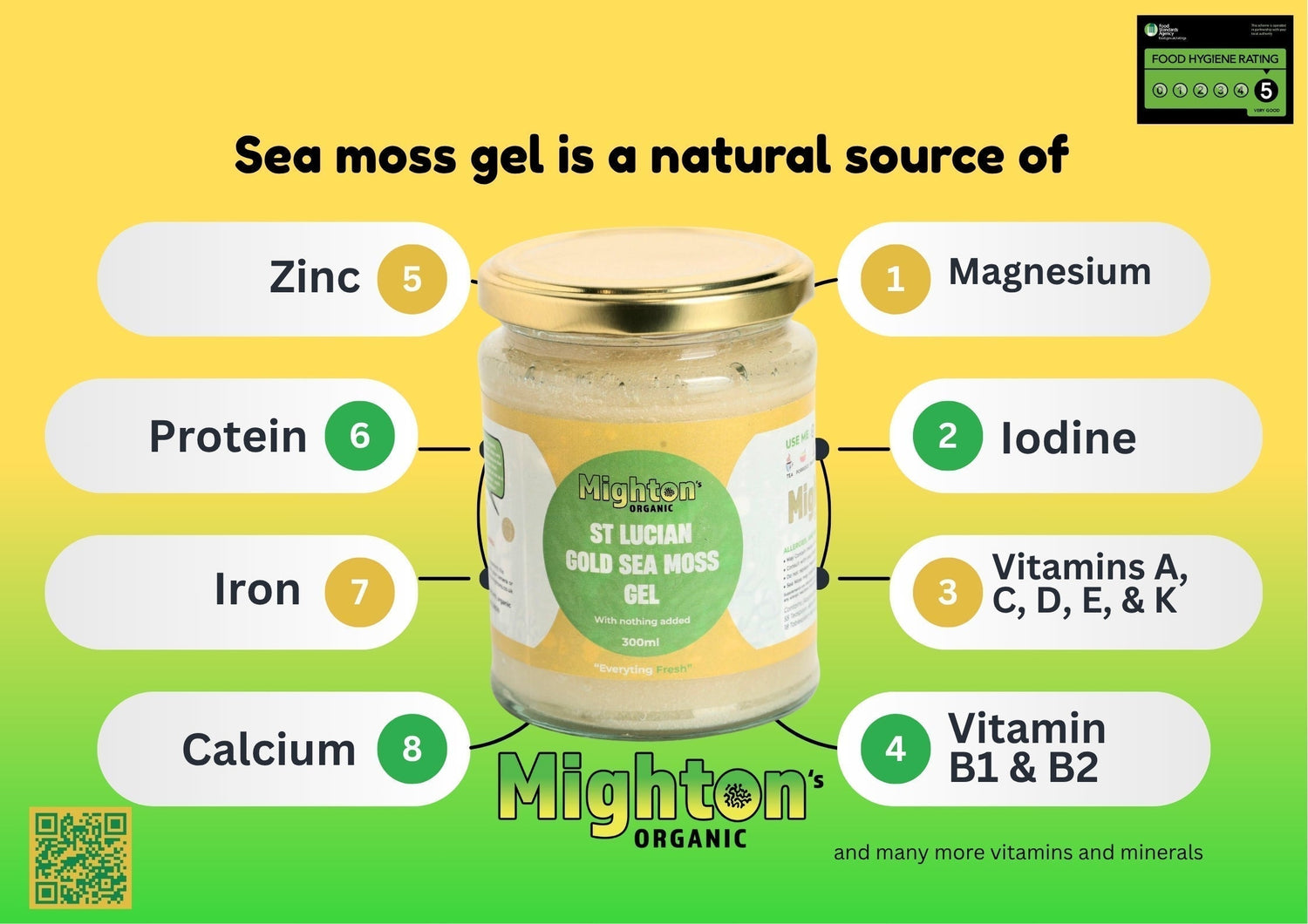 8 REASONS WHY U SHOULD TAKE SEA MOSS!!