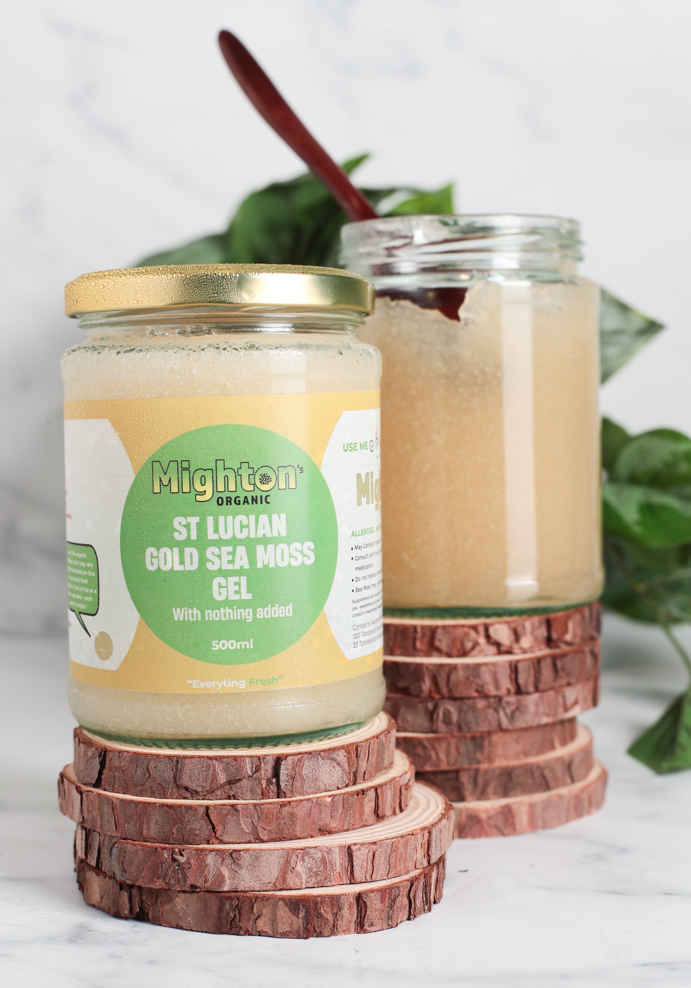 Plain Sea Moss Gel – Handmade, Wildcrafted, Cold Shipped for Freshness