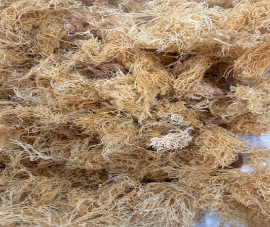 Sea Moss The Ultimate Guide