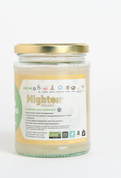 Plain Sea Moss Gel – Handmade, Wildcrafted, Cold Shipped for Freshness